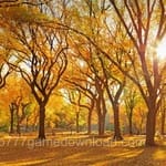 Avatar of Moazzam Hanif